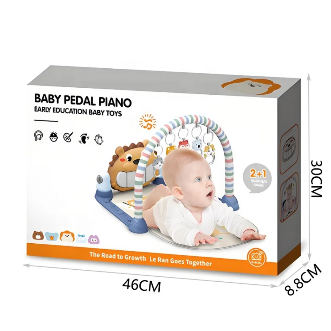 Baby 3 in 1 Musical Play Mat Gym